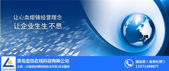 上海網(wǎng)站推廣與計(jì)算機(jī)軟硬件技術(shù)開發(fā) 雷迅在線的綜合服務(wù)策略